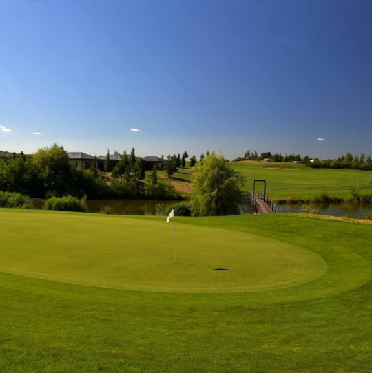 TDC & EVOS CUP<br>BLACK BRIDGE