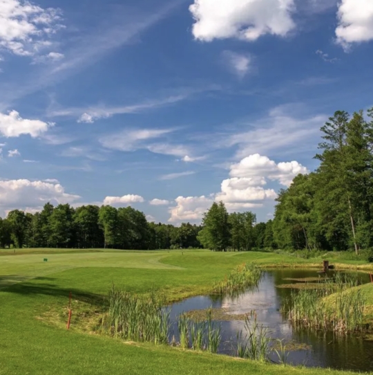 D&Z CUP<br>GREENSGATE  DÝŠINA